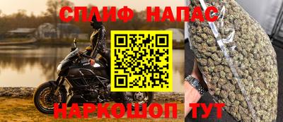 ГАЛЛЮЦИНОГЕННЫЕ ГРИБЫ Кинель