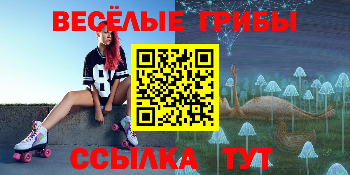 Псилоцибиновые грибы MAGIC MUSHROOMS  Вход с VPN  Ярославль 